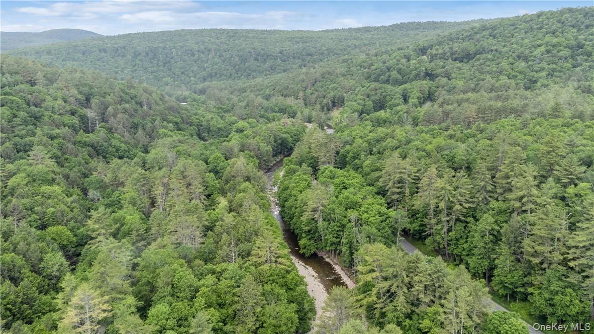 56 Saw Mill Road, Claryville, NY 12725