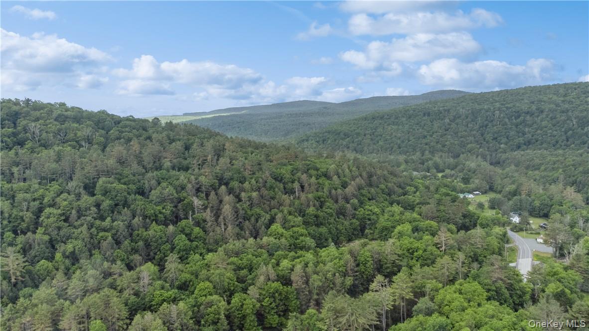 56 Saw Mill Road, Claryville, NY 12725