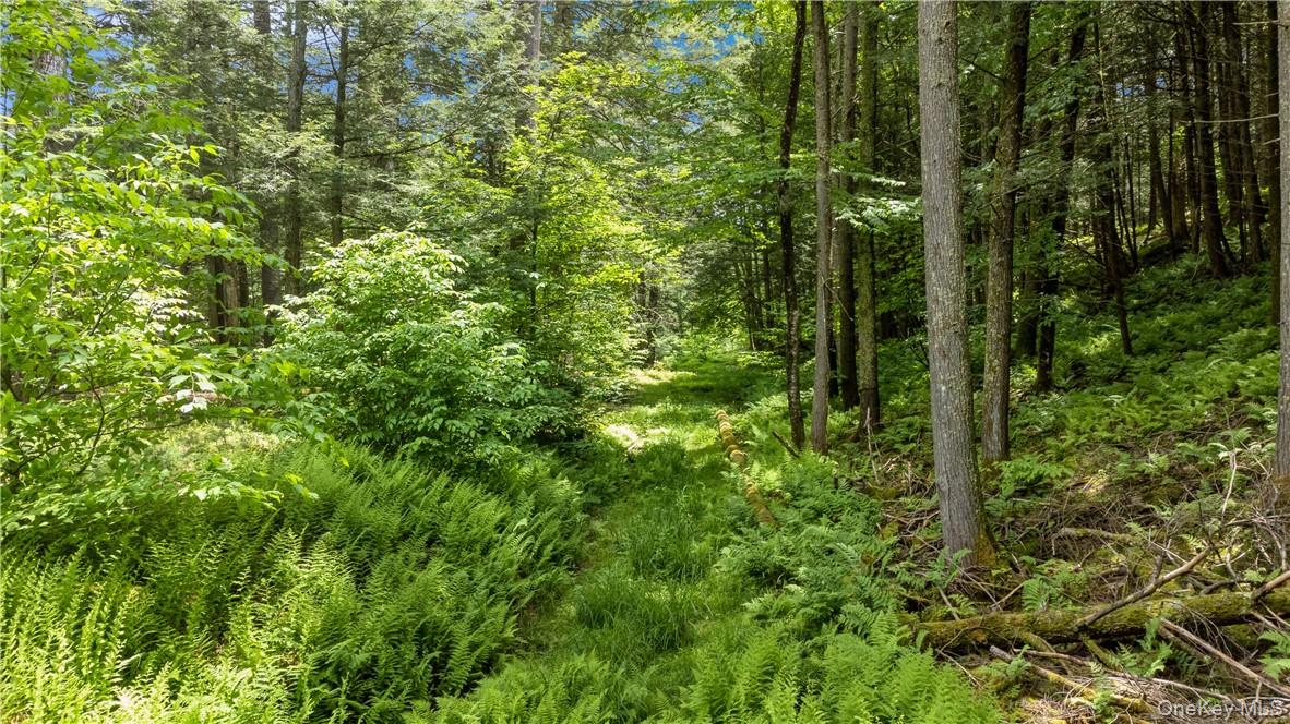 56 Saw Mill Road, Claryville, NY 12725