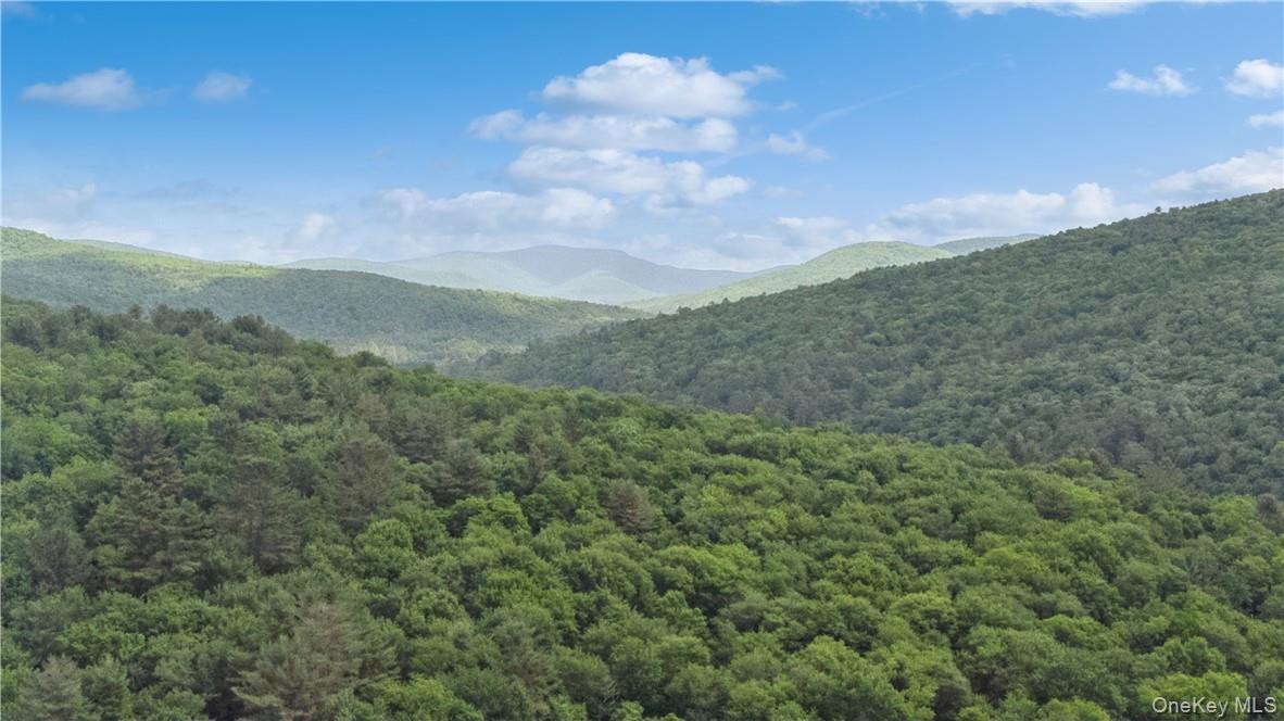 56 Saw Mill Road, Claryville, NY 12725