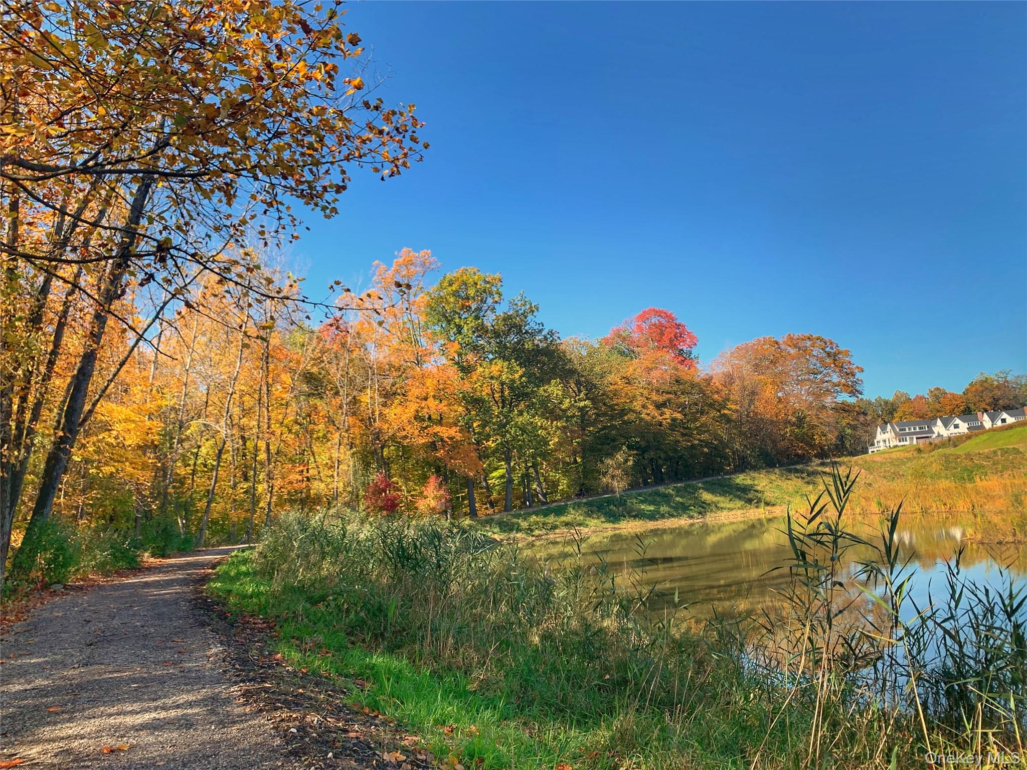 21 Honeysuckle Lane, Rye Brook, NY 10573