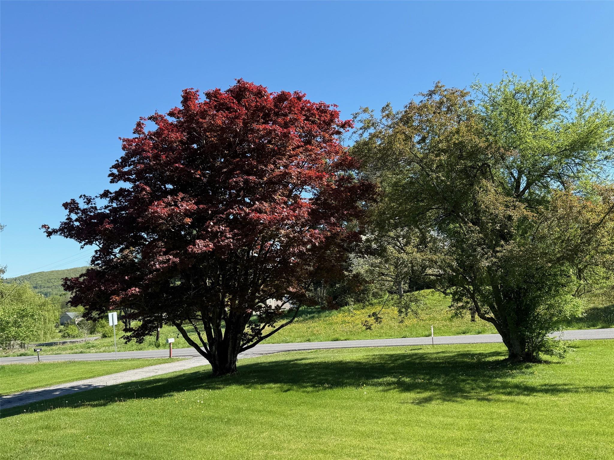 201 Beilke Road, Millerton, NY 12546