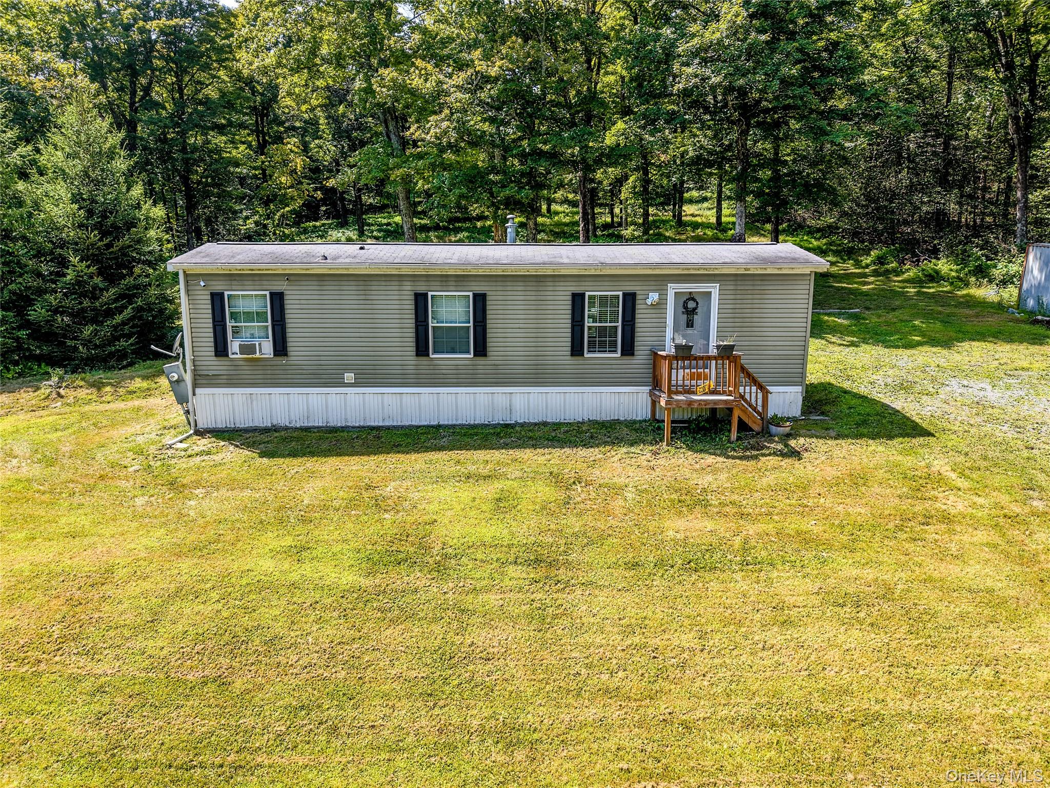 628 Lenape Lake Road, Livingston Manor, NY 12758