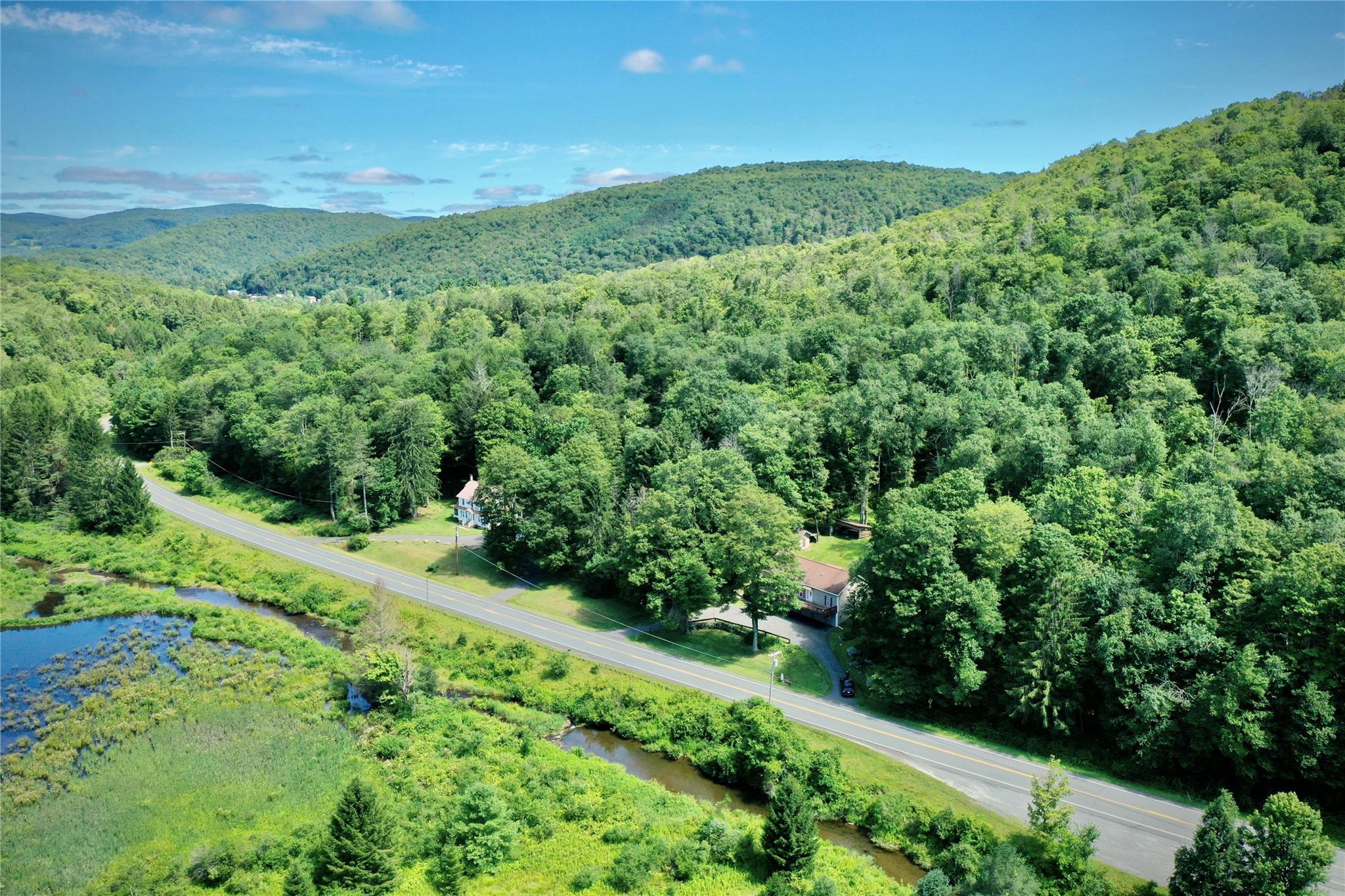 199 Gulf Road, Roscoe, NY 12776