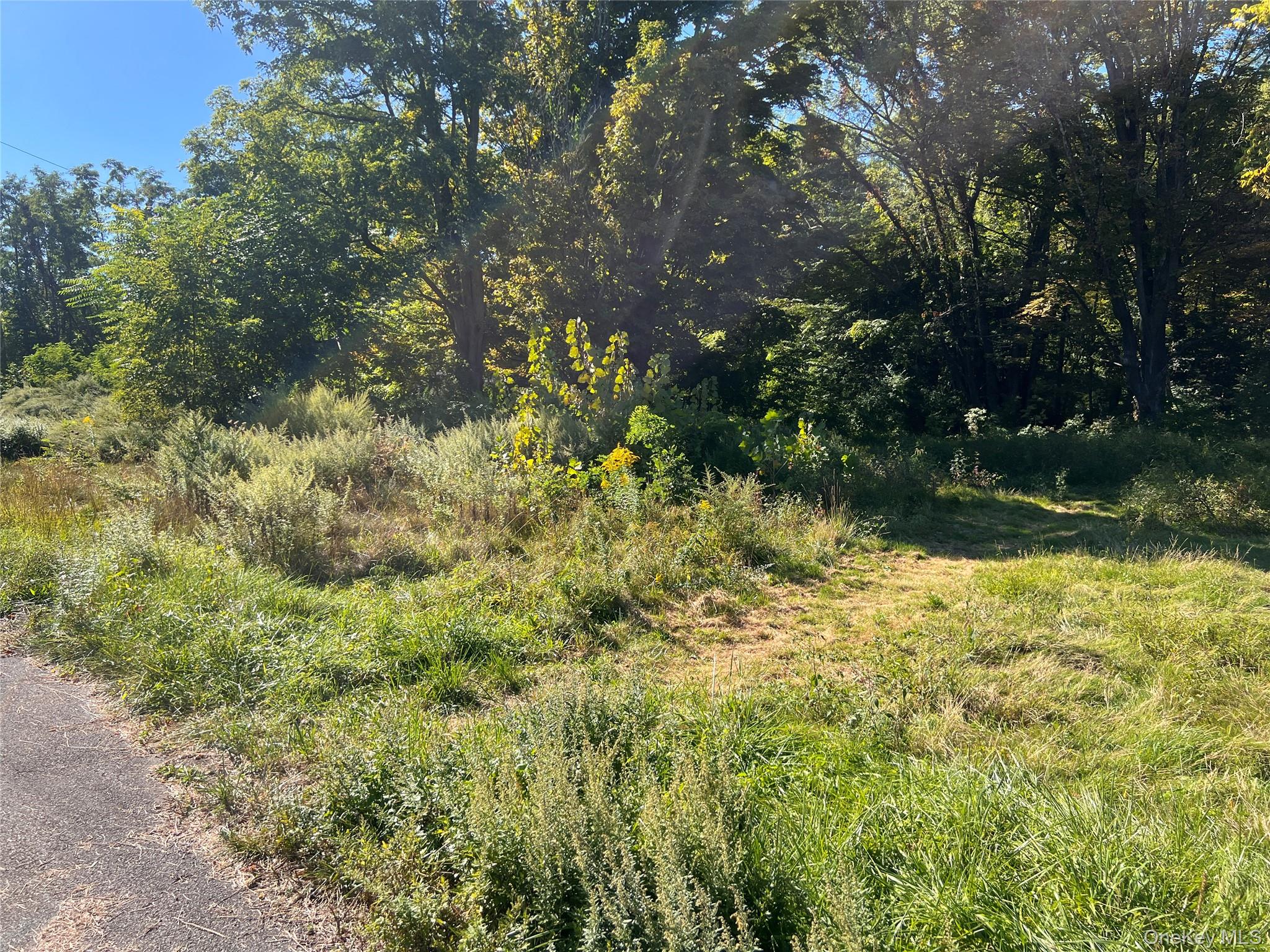 15 Main Street, Napanoch, NY 12458