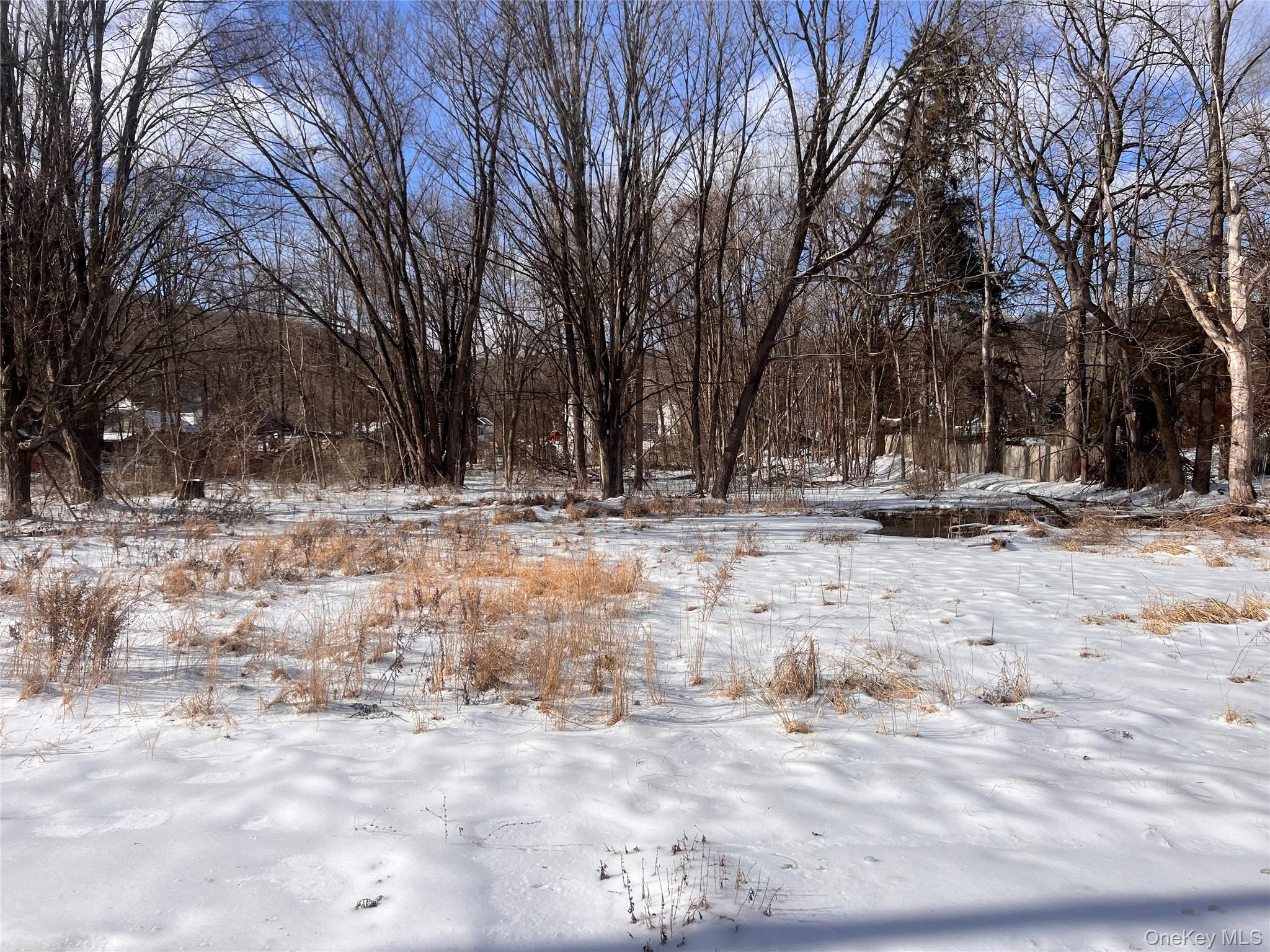 15 Main Street, Napanoch, NY 12458