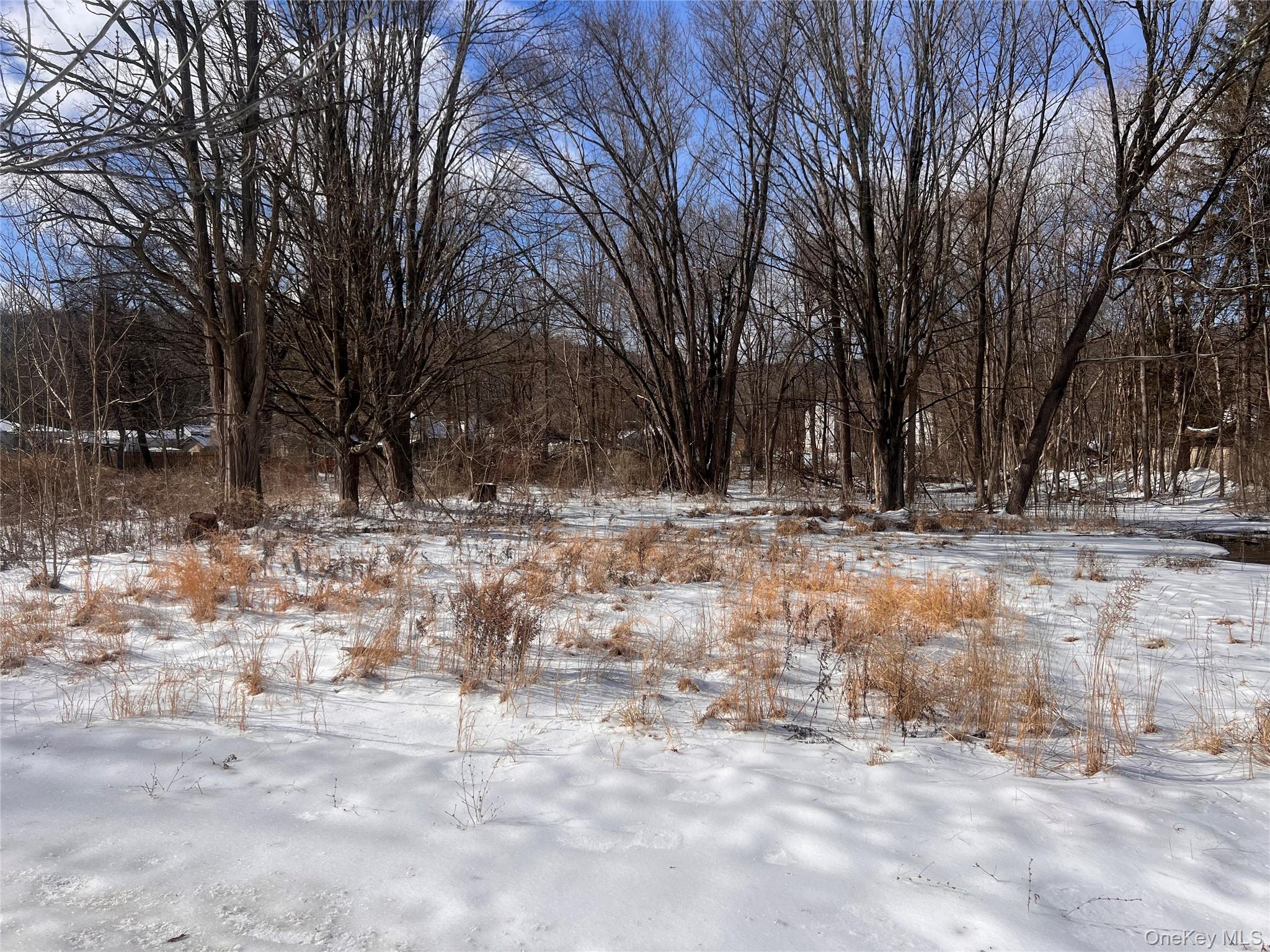 15 Main Street, Napanoch, NY 12458