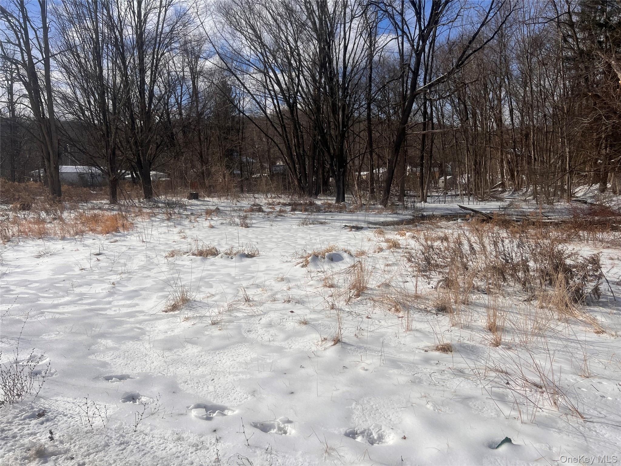 15 Main Street, Napanoch, NY 12458