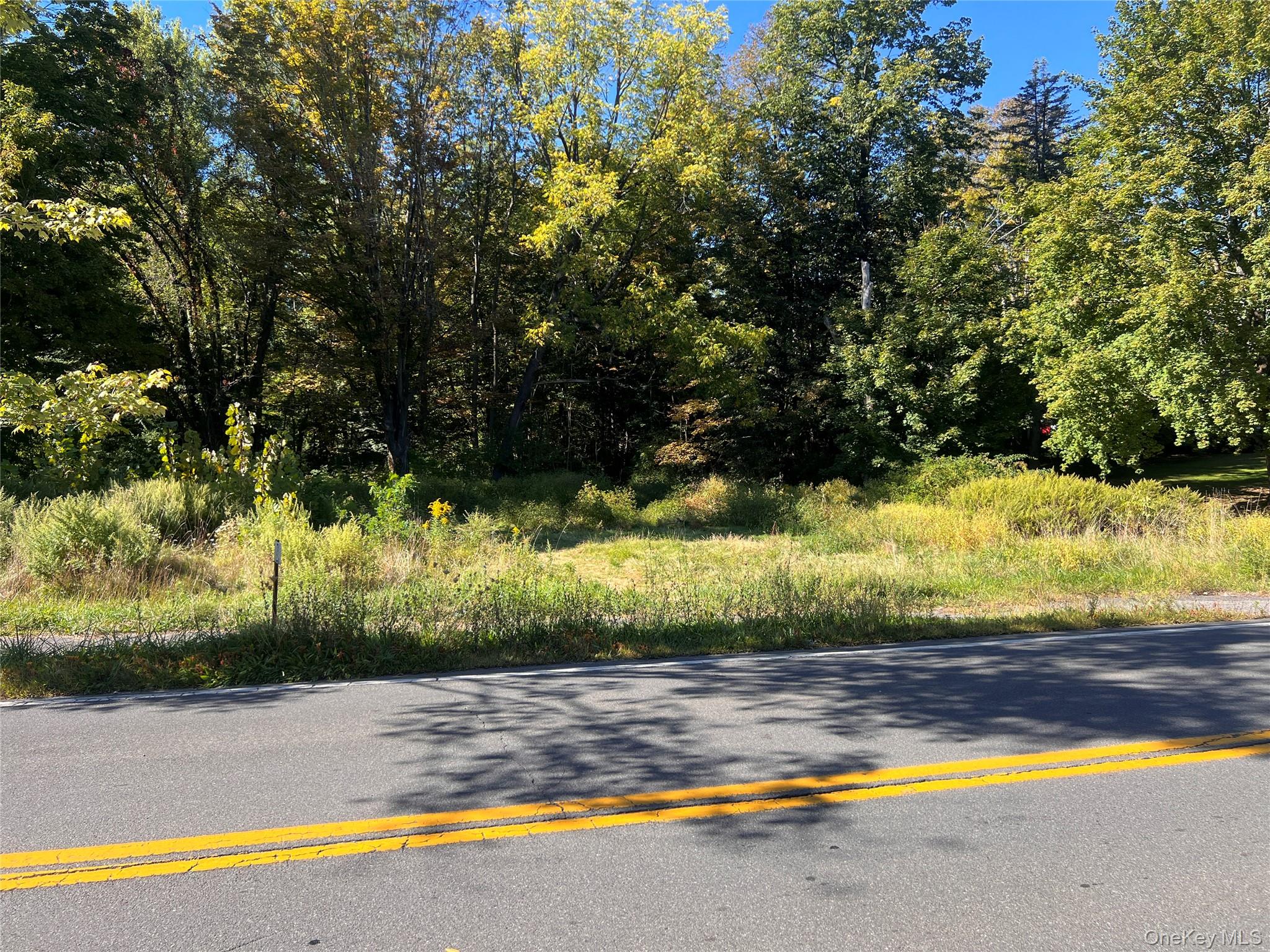 15 Main Street, Napanoch, NY 12458