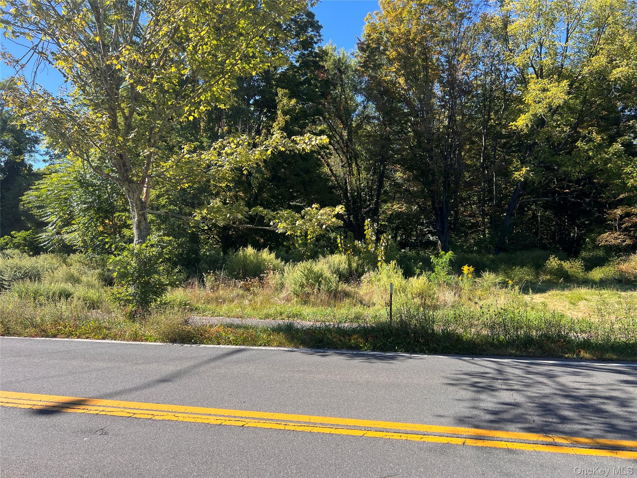 15 Main Street, Napanoch, NY 12458