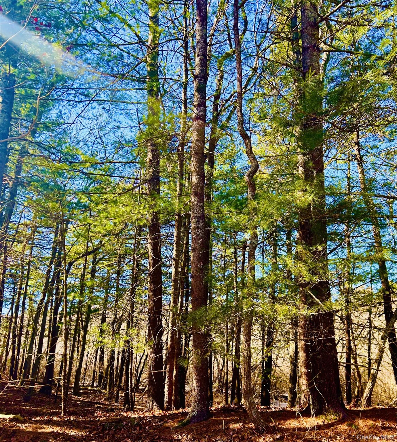 11200 N Bayview Road, Southold, NY 11971