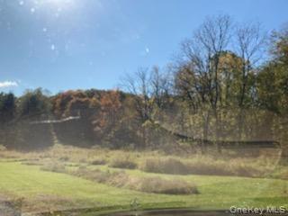 Primrose Hill Road, Rhinebeck, NY 12572