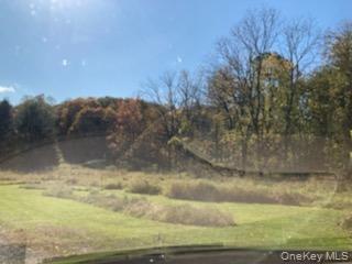 Primrose Hill Road, Rhinebeck, NY 12572