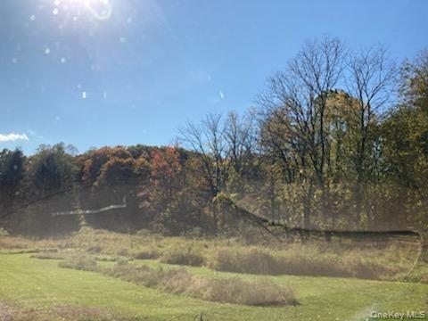 Primrose Hill Road, Rhinebeck, NY 12572