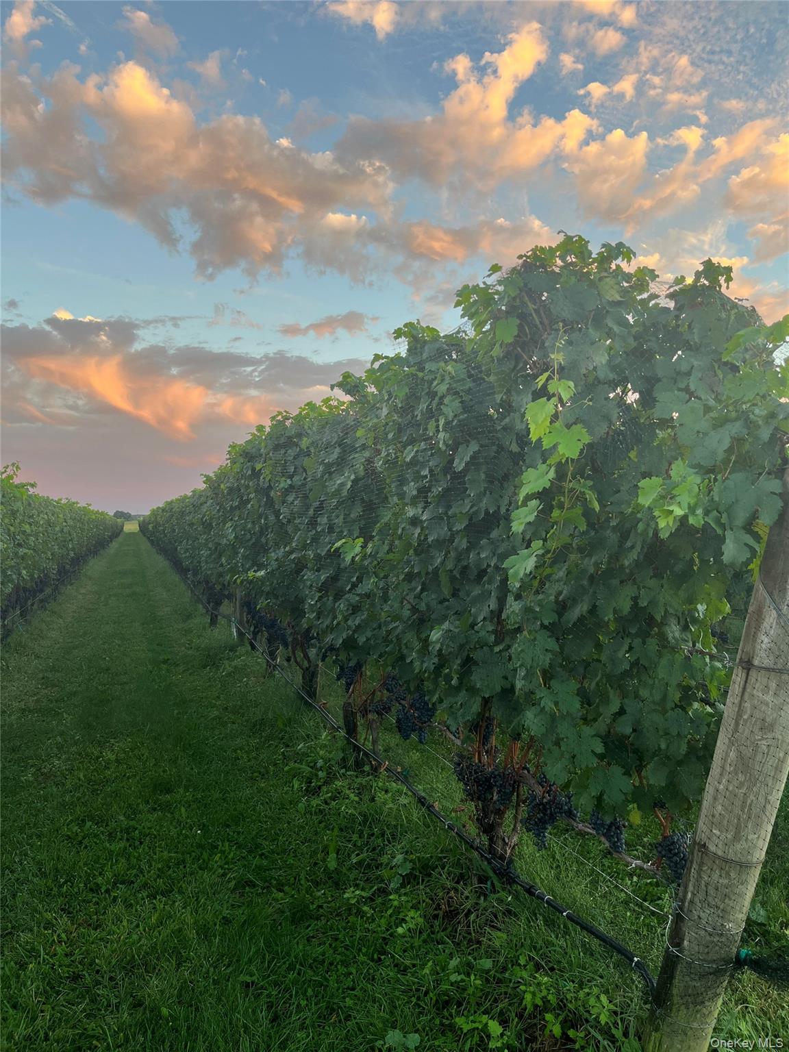 6094 Sound Avenue, Jamesport, NY 11947