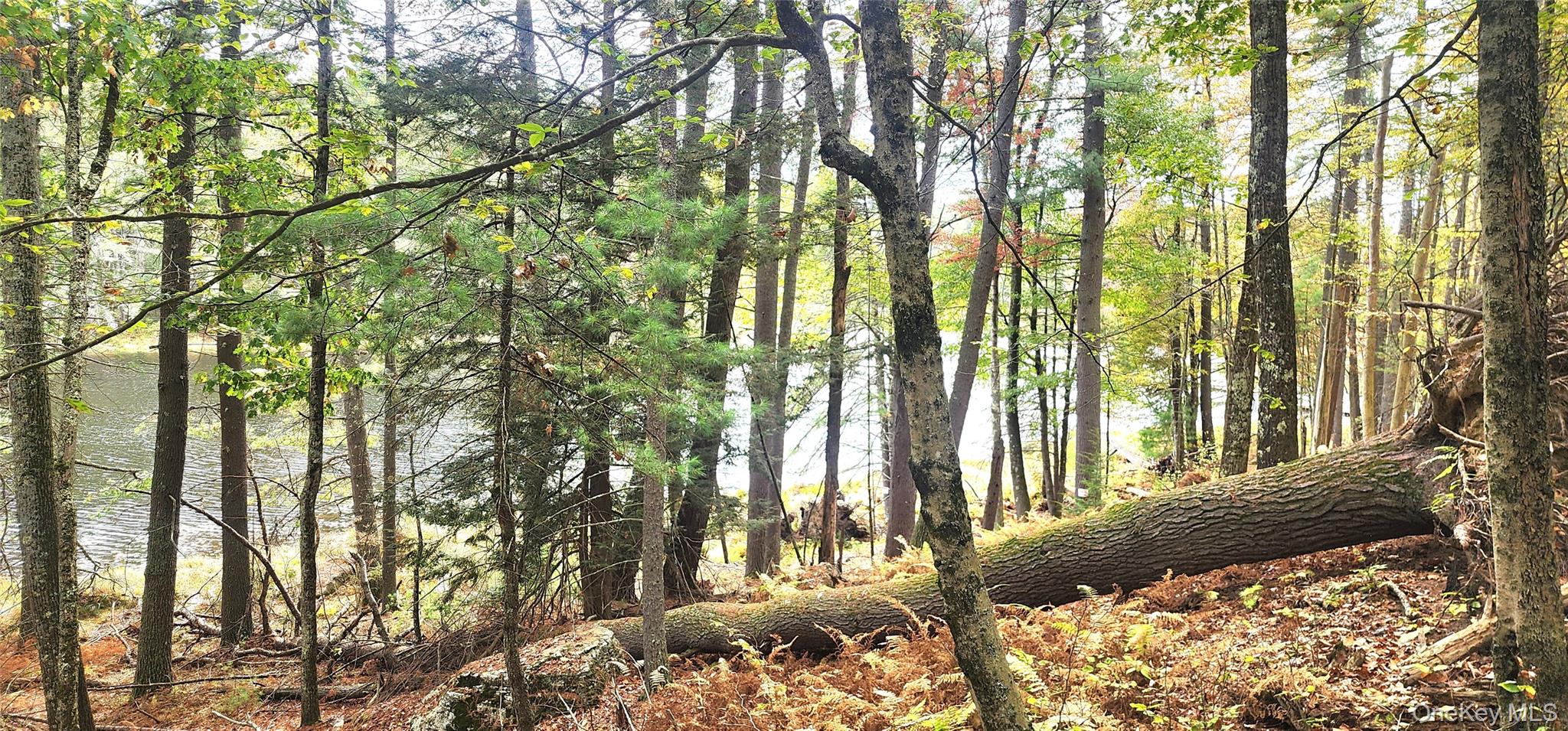 Stag Forest Road, Forestburgh, NY 12777