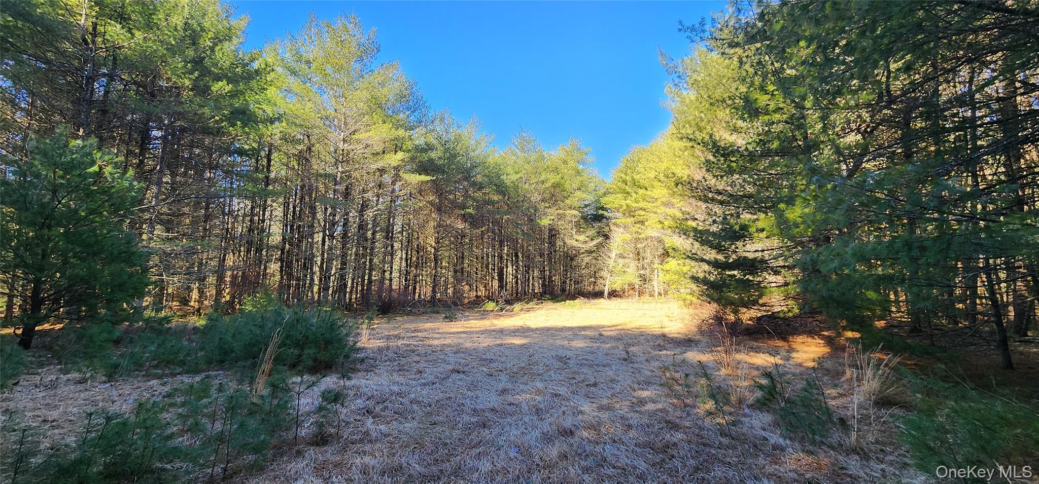 Stag Forest Road, Forestburgh, NY 12777