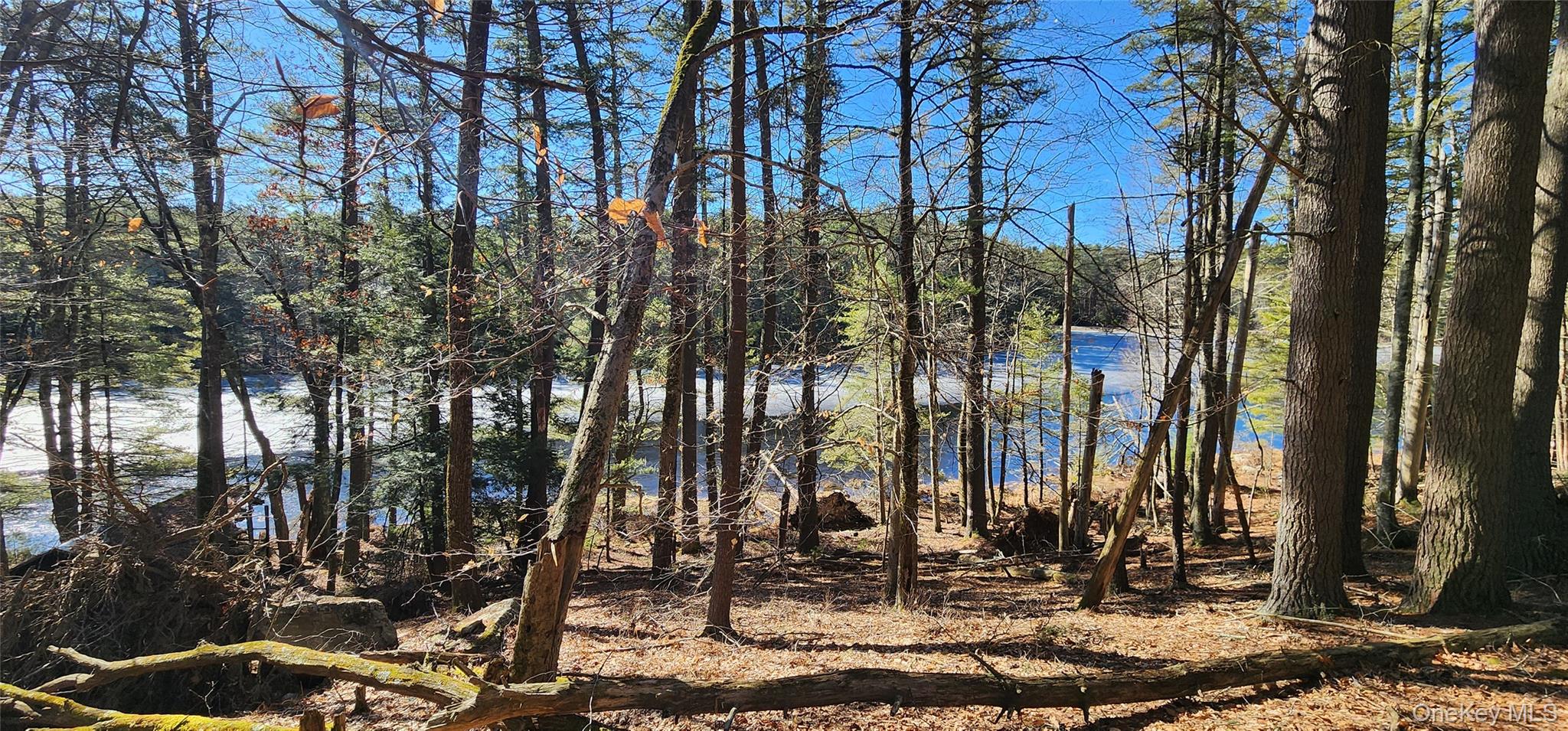 Stag Forest Road, Forestburgh, NY 12777