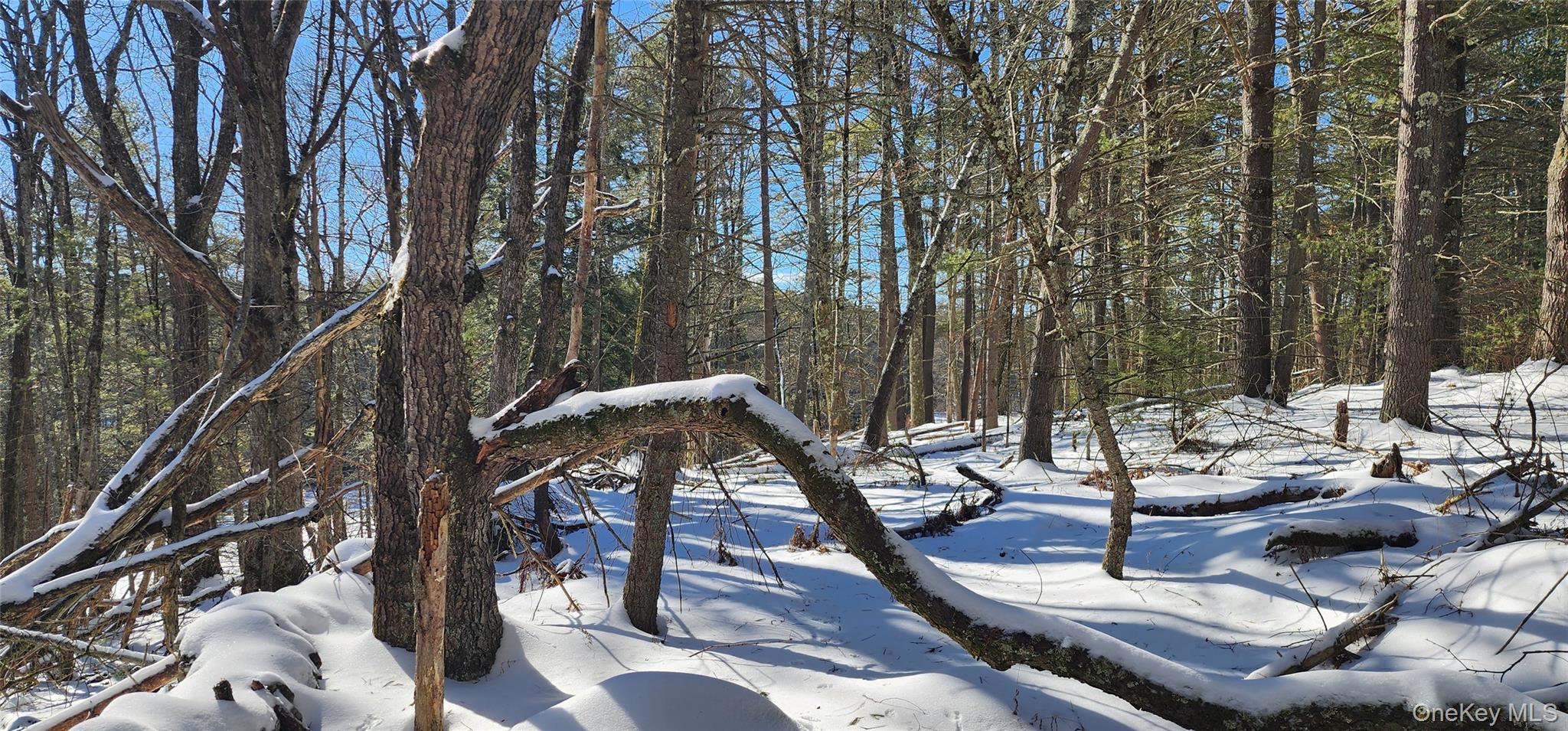 Stag Forest Road, Forestburgh, NY 12777