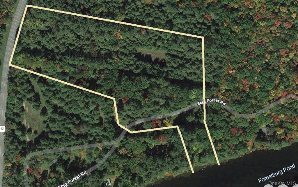 Stag Forest Road, Forestburgh, NY 12777