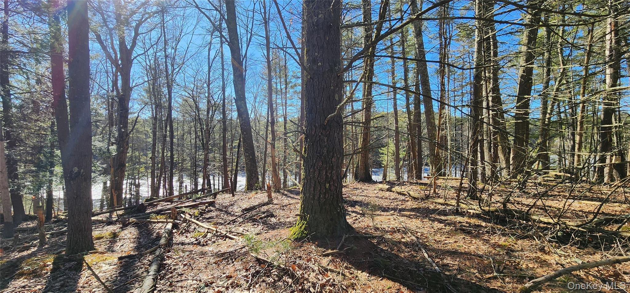 Stag Forest Road, Forestburgh, NY 12777