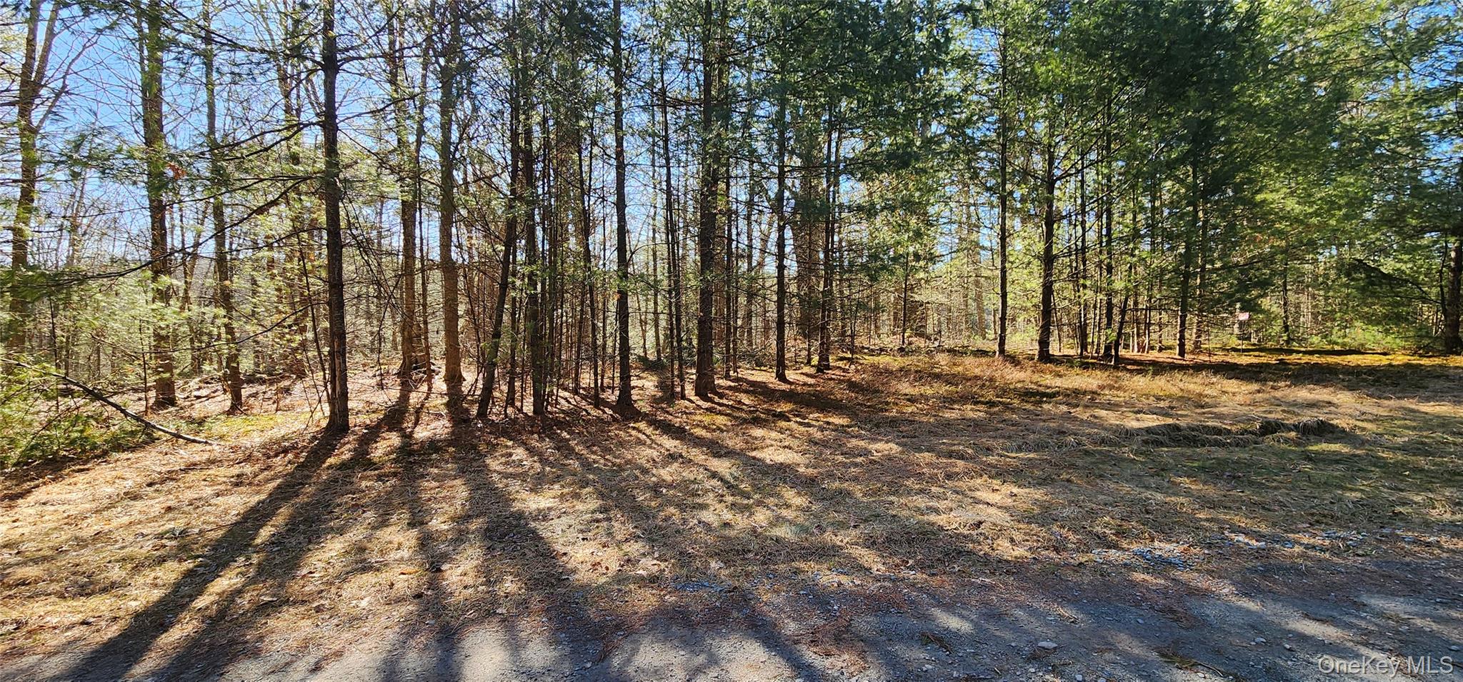 Stag Forest Road, Forestburgh, NY 12777