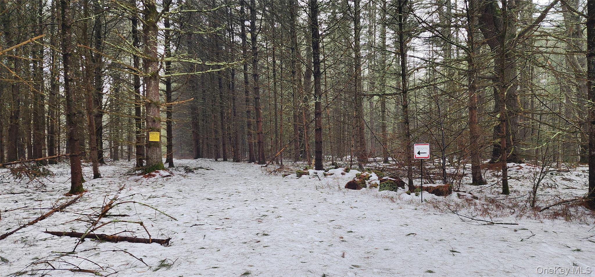 Stag Forest Road, Forestburgh, NY 12777