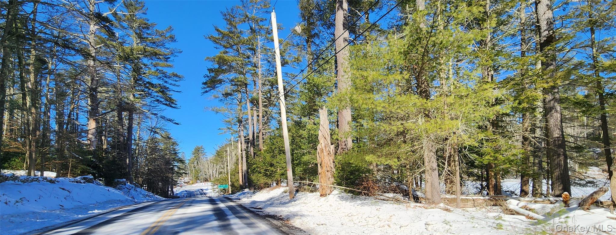 Stag Forest Road, Forestburgh, NY 12777