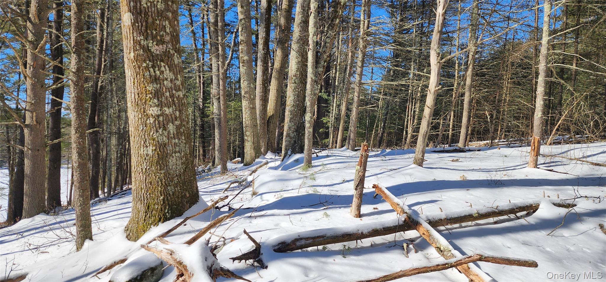 Stag Forest Road, Forestburgh, NY 12777