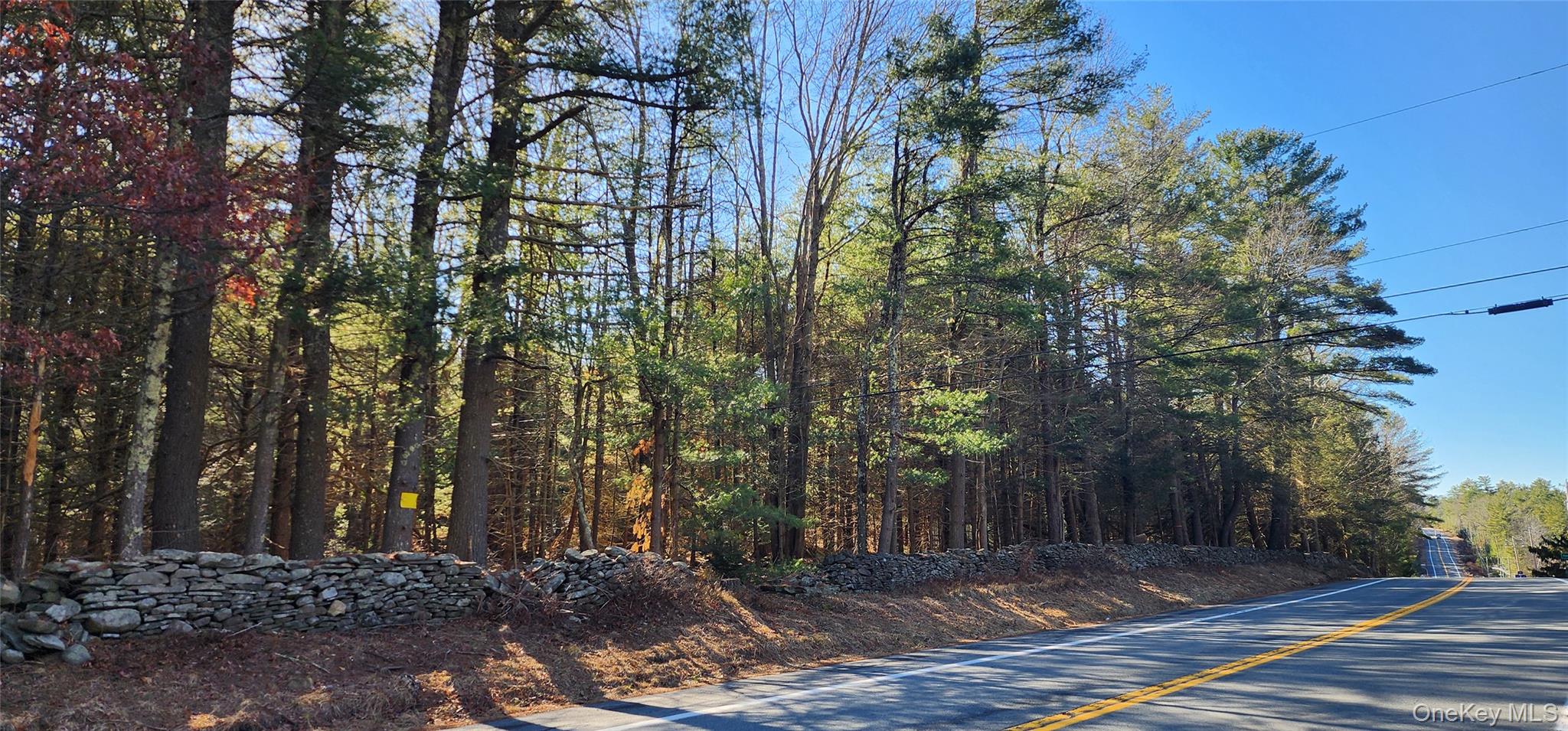 Stag Forest Road, Forestburgh, NY 12777