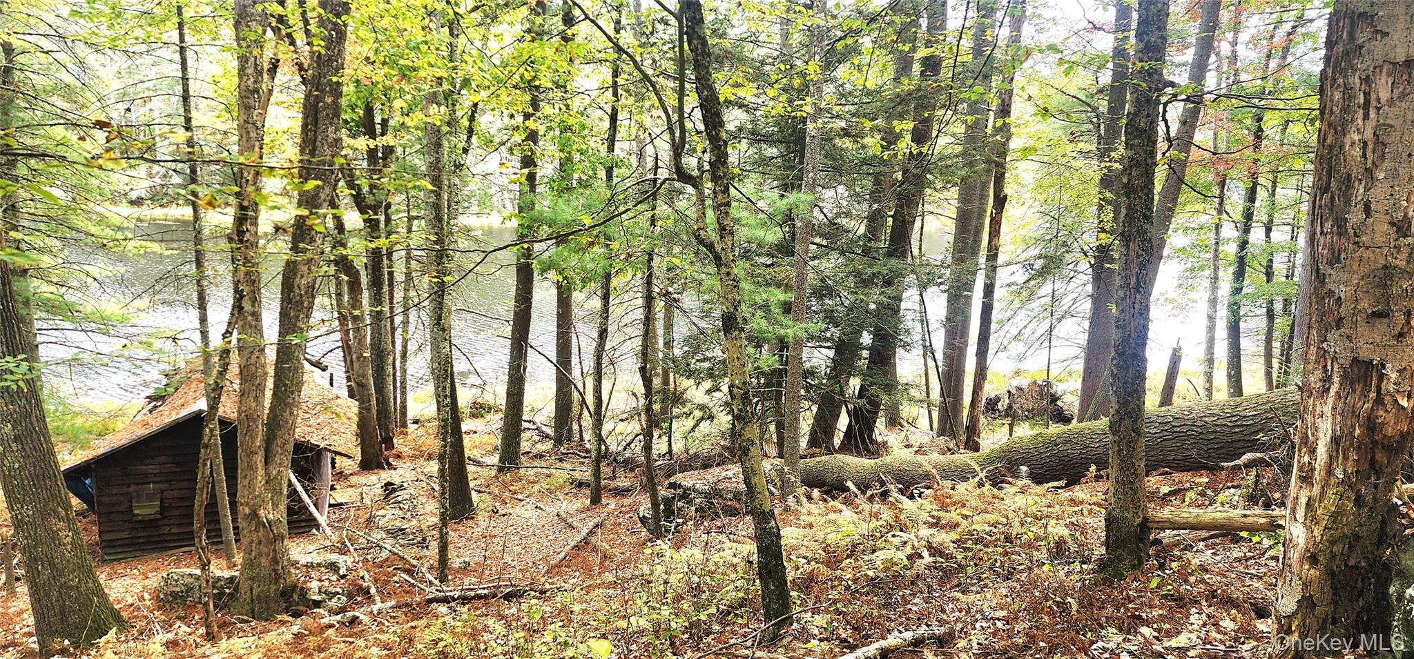 Stag Forest Road, Forestburgh, NY 12777