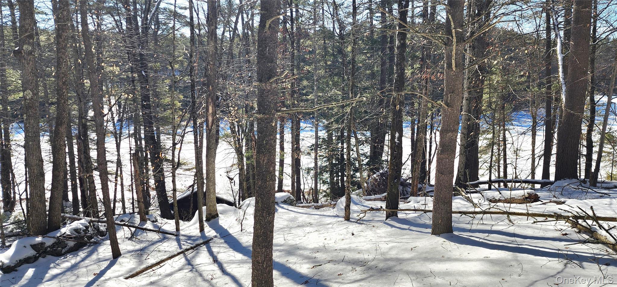 Stag Forest Road, Forestburgh, NY 12777