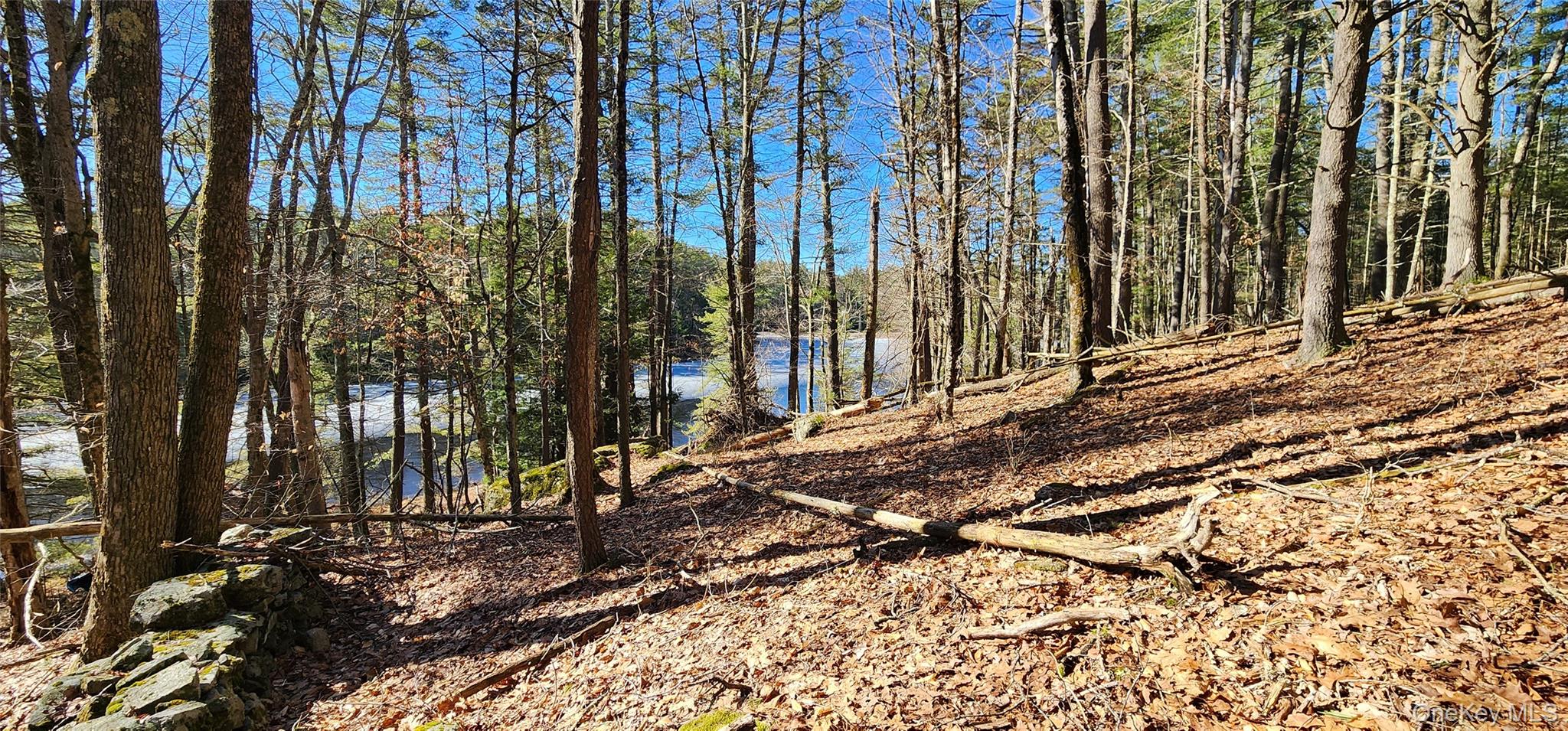 Stag Forest Road, Forestburgh, NY 12777