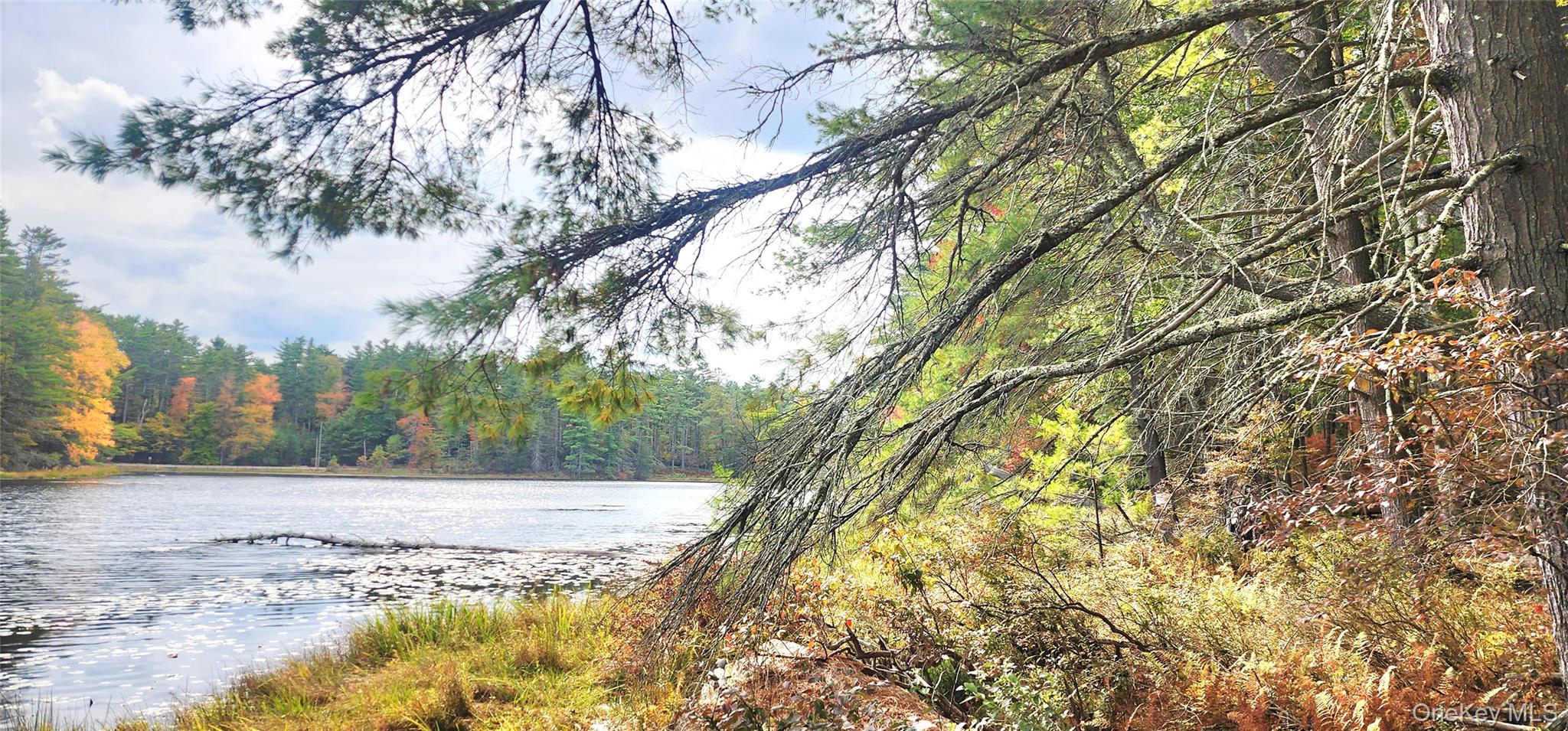 Stag Forest Road, Forestburgh, NY 12777