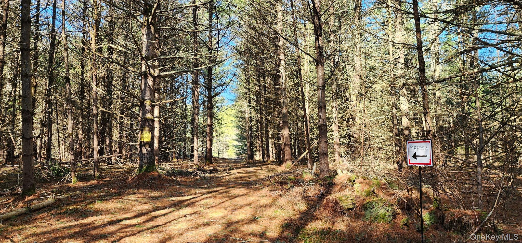 Stag Forest Road, Forestburgh, NY 12777