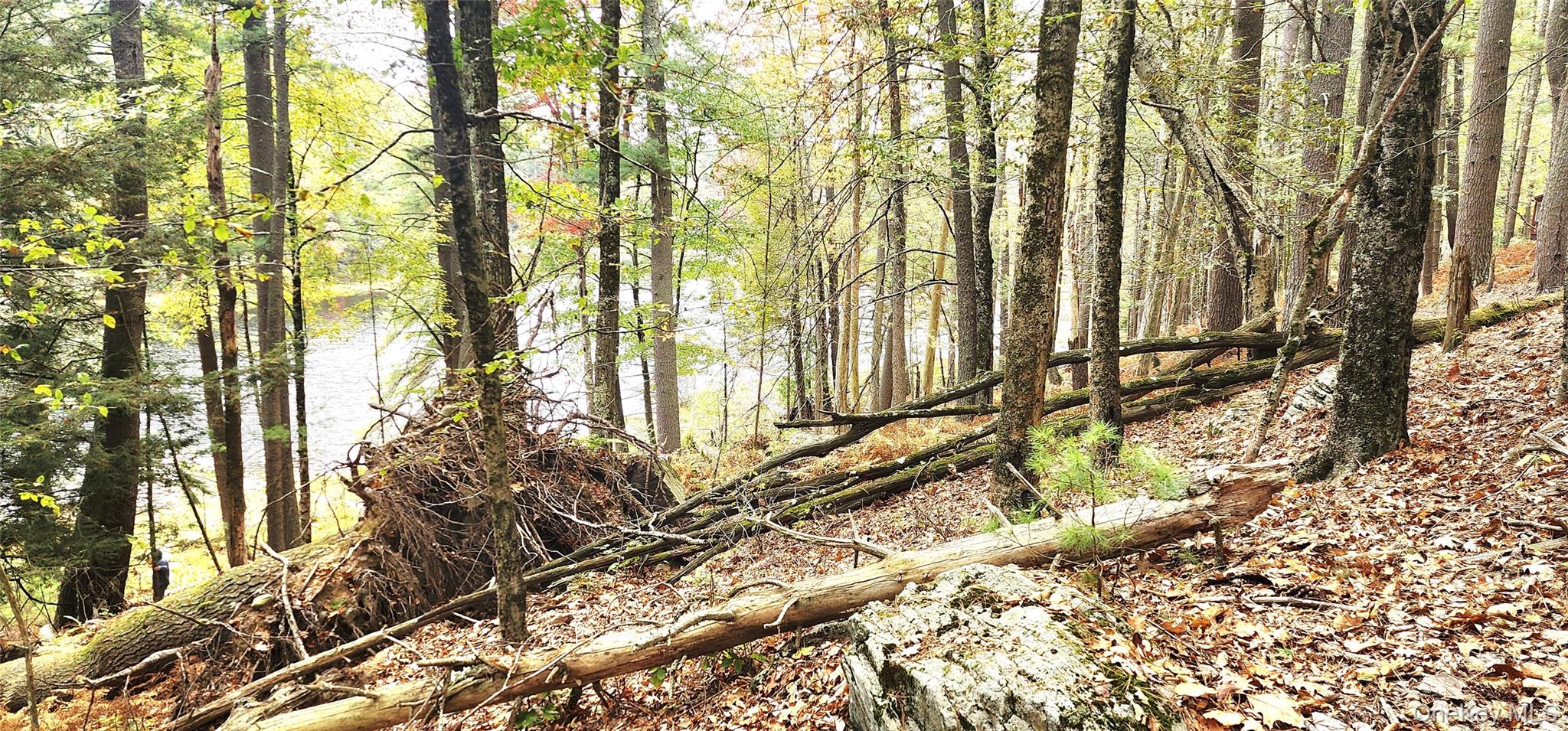 Stag Forest Road, Forestburgh, NY 12777