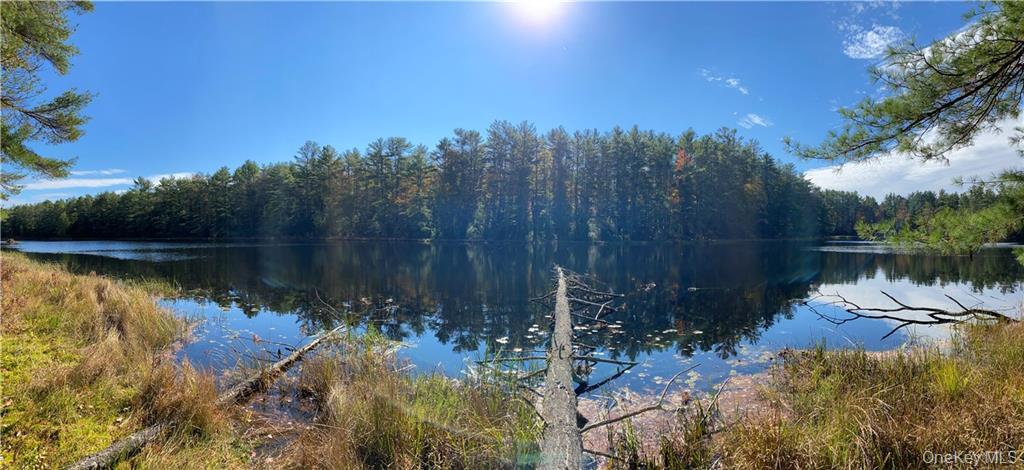 Stag Forest Road, Forestburgh, NY 12777