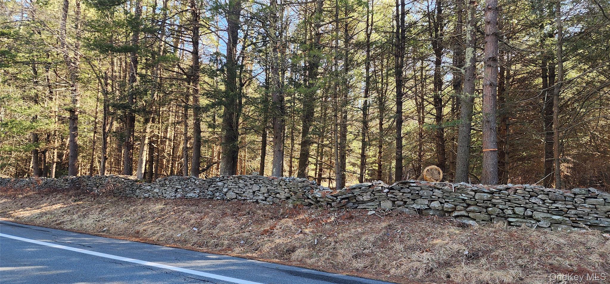 Stag Forest Road, Forestburgh, NY 12777