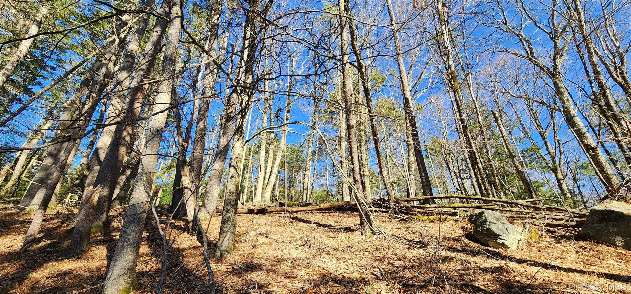 Stag Forest Road, Forestburgh, NY 12777