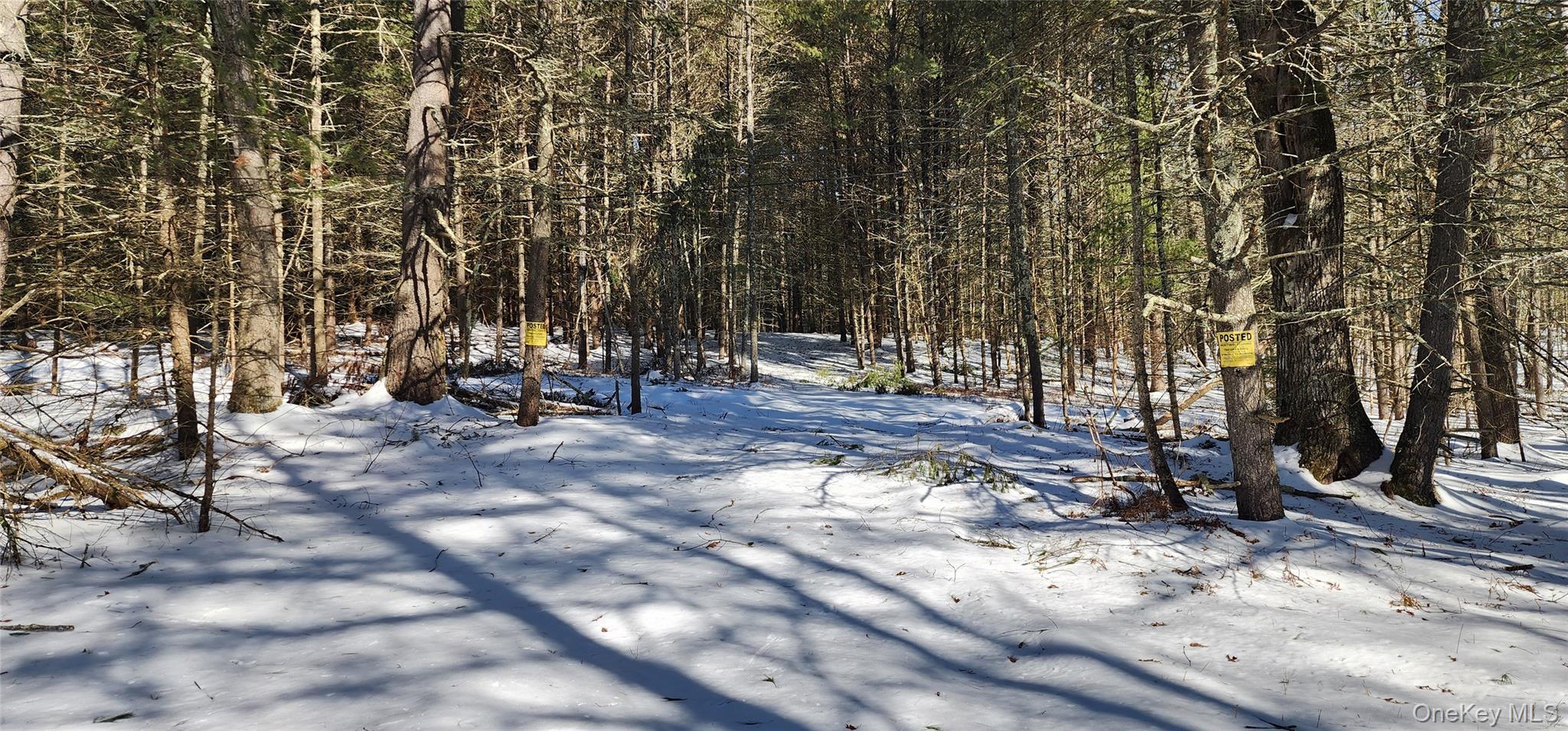 Stag Forest Road, Forestburgh, NY 12777