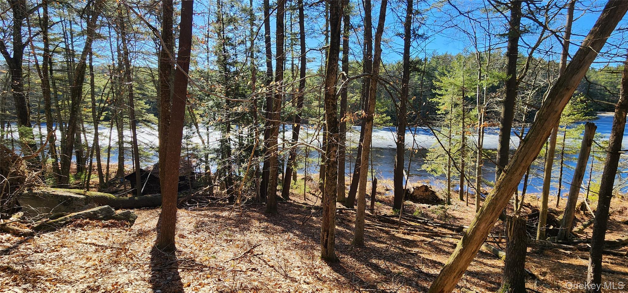 Stag Forest Road, Forestburgh, NY 12777