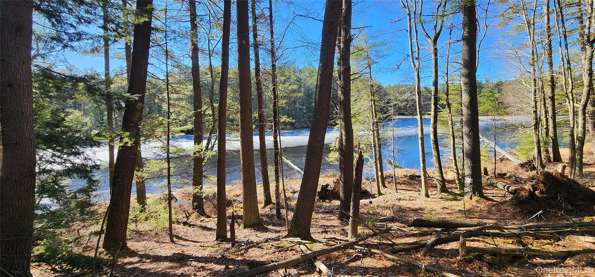 Stag Forest Road, Forestburgh, NY 12777