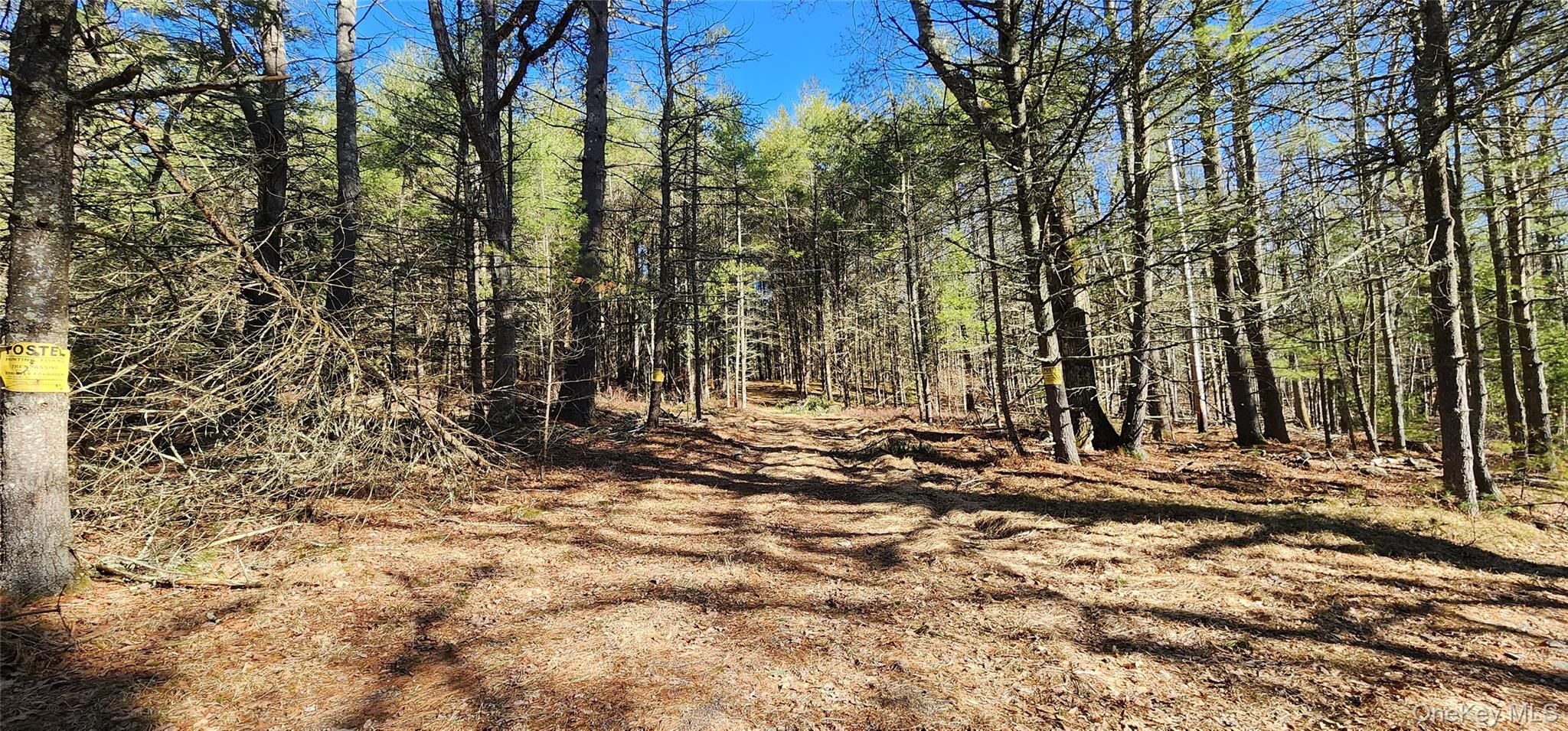 Stag Forest Road, Forestburgh, NY 12777