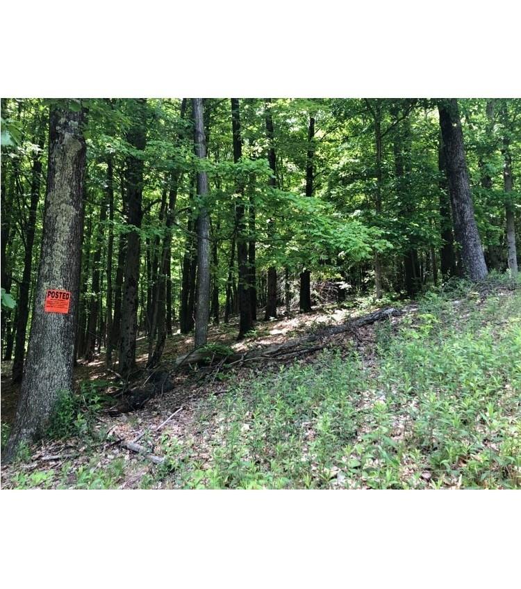 84 Mountain Road, Bloomingburg, NY 12721