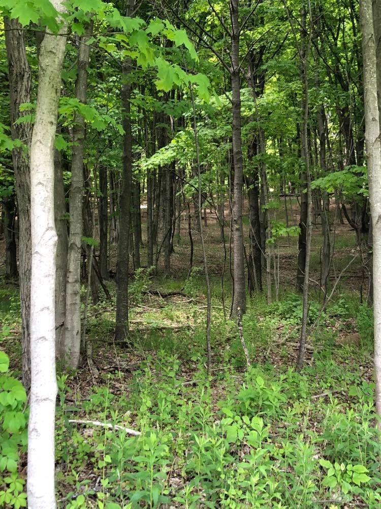 84 Mountain Road, Bloomingburg, NY 12721