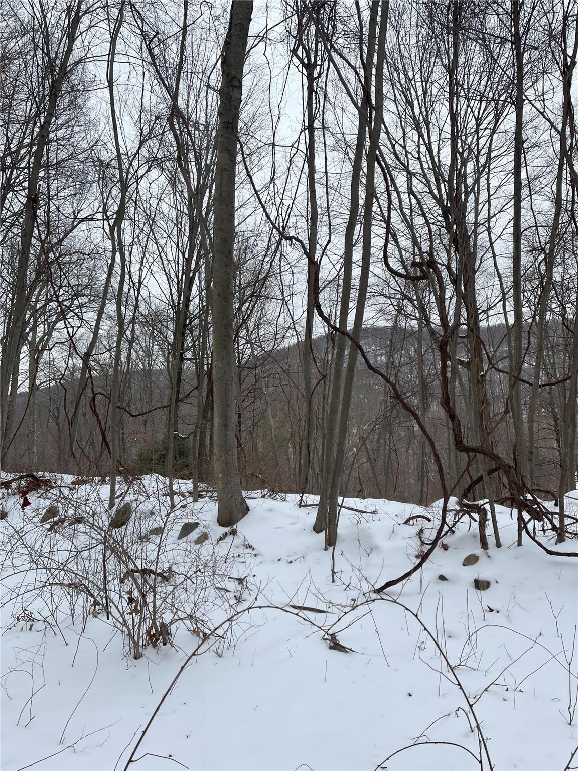 Old Church Road, Putnam Valley, NY 10579