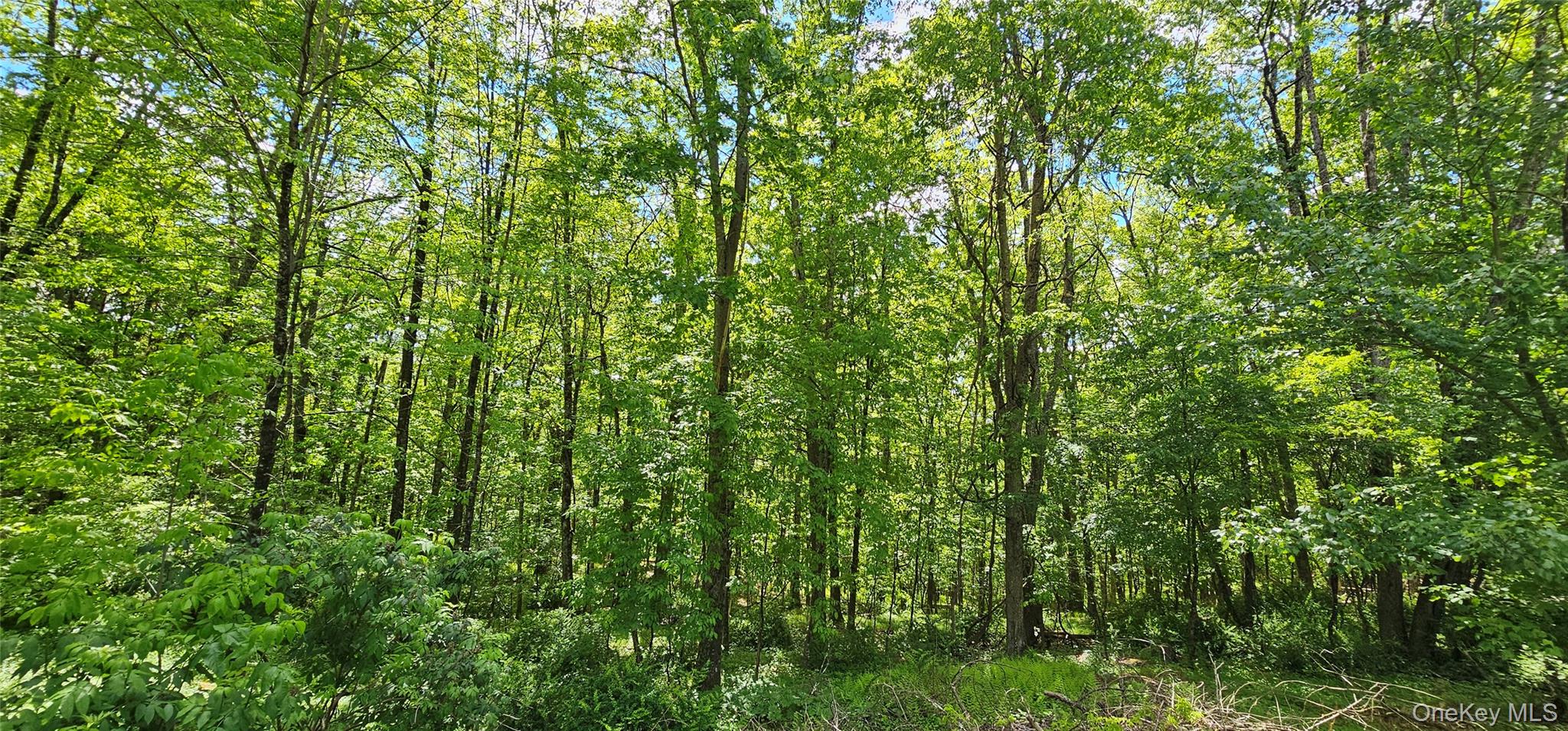 7599 State Route 97, Narrowsburg, NY 12764