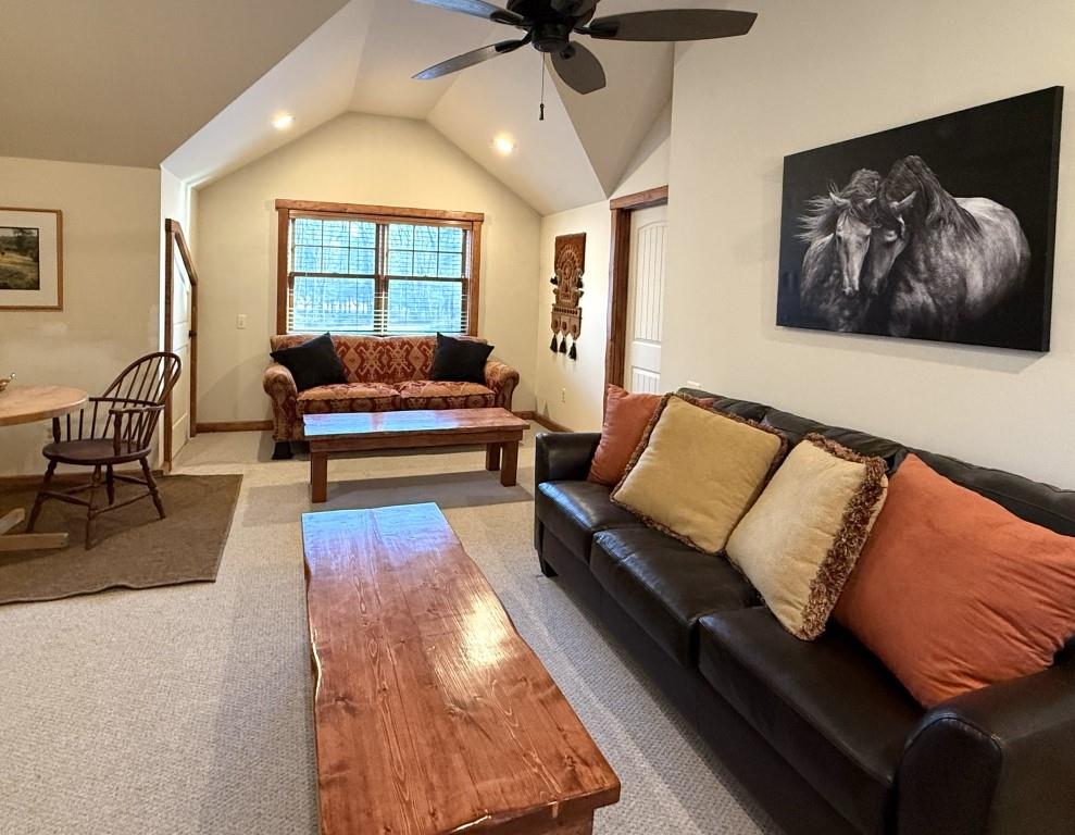 55 Chapin Chapin Trail, Bethel, NY 12720