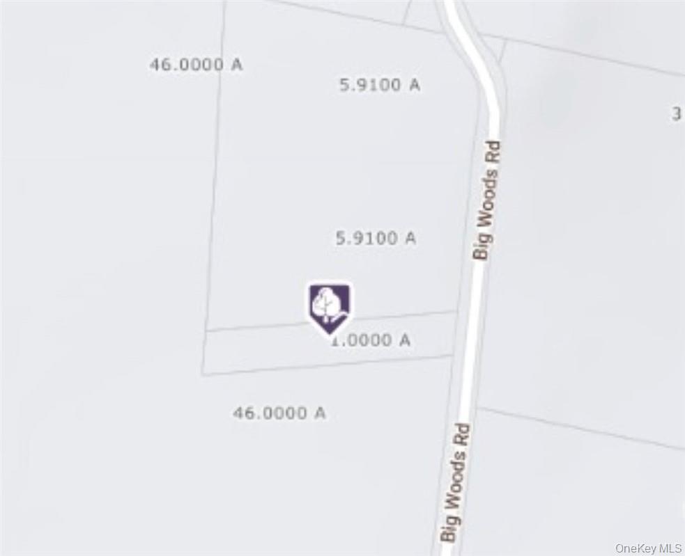 Big Woods Road, Harris, NY 12742