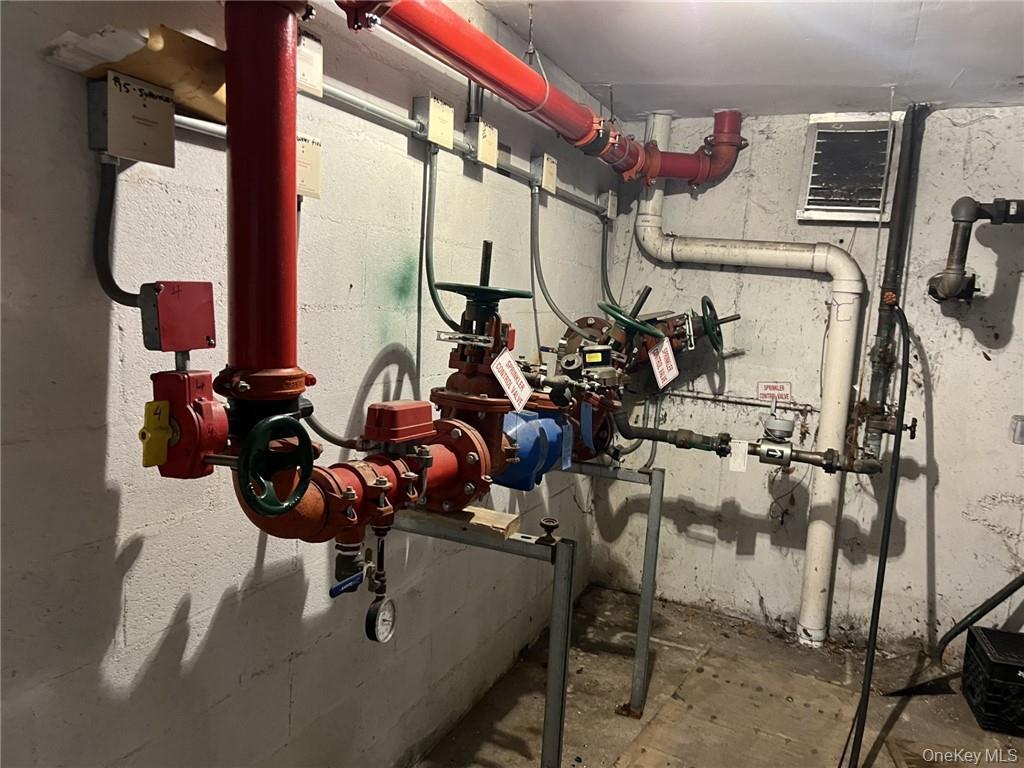 2430 Lyvere Street, Bronx, NY 10461